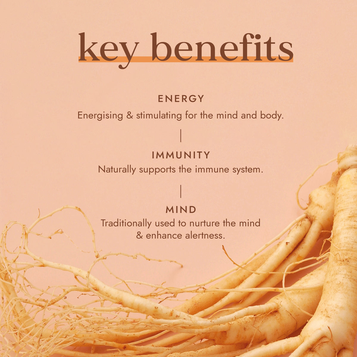 Organic Red Ginseng | Ayurveda | Fushi