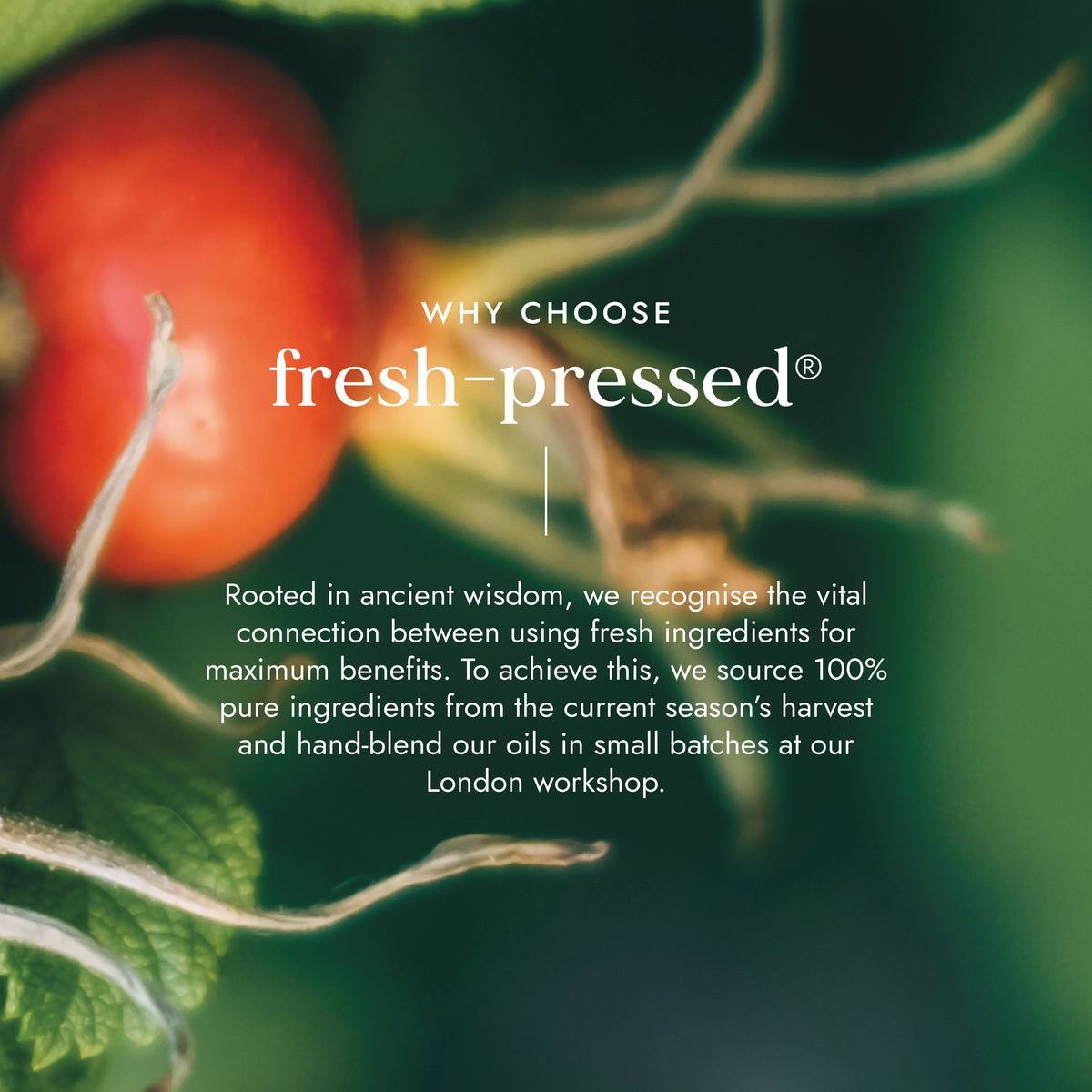 benefits of rose hip seed oil Rosehip Oil for Face 100ml | Hydrating & Anti-Ageing