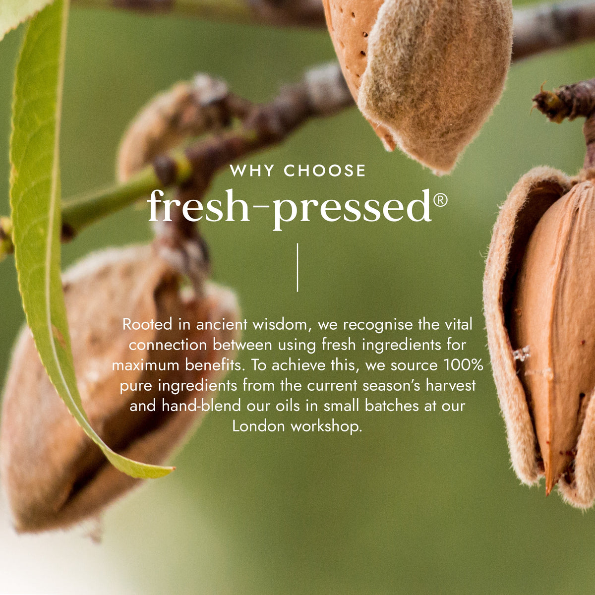 Organic Sweet Almond Oil 100ml | Ayurveda | Fushi