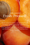 Apricot Lip Oil 10ml