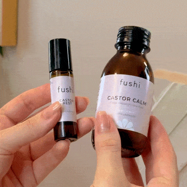 Castor Calm & Castor Rest with Lavender