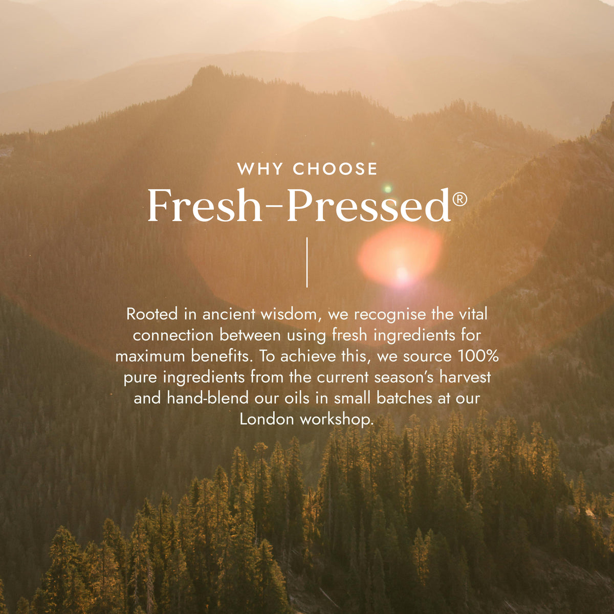 Castor Calm with Lavender 100ml