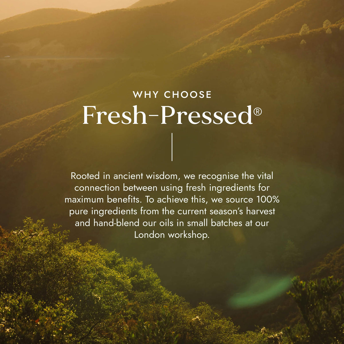 Castor Go with Frankincense 10ml