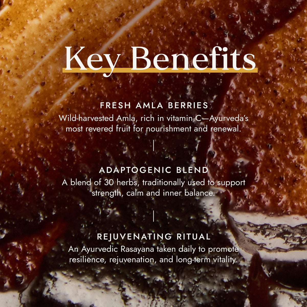 Image highlighting the benefits of Fushi Chyawanprash, including fresh Amla berries, an adaptogenic 30-herb blend & daily rejuvenation support.