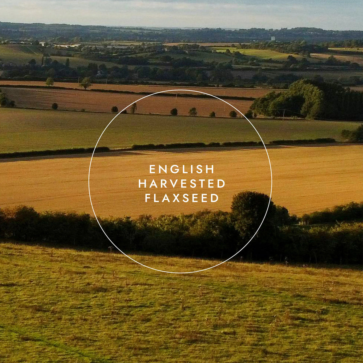 Organic Flaxseed Oil 250ml