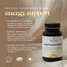 Adaptogen Energy Blend | Ayurveda | Fushi