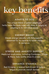 Adaptogen Energy Blend | Ayurveda | Fushi