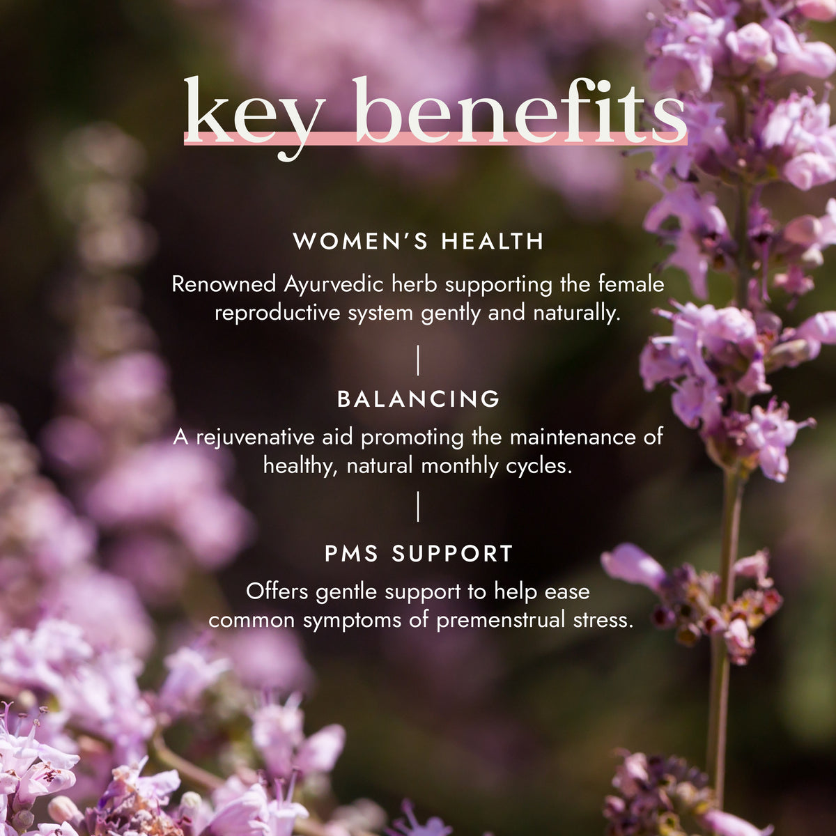 Organic Chaste Tree (Agnus Castus) | Ayurveda | Fushi