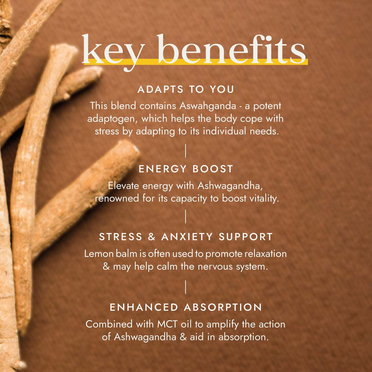 Ashwagandha with Vegan MCT Extract | Ayurveda | Fushi