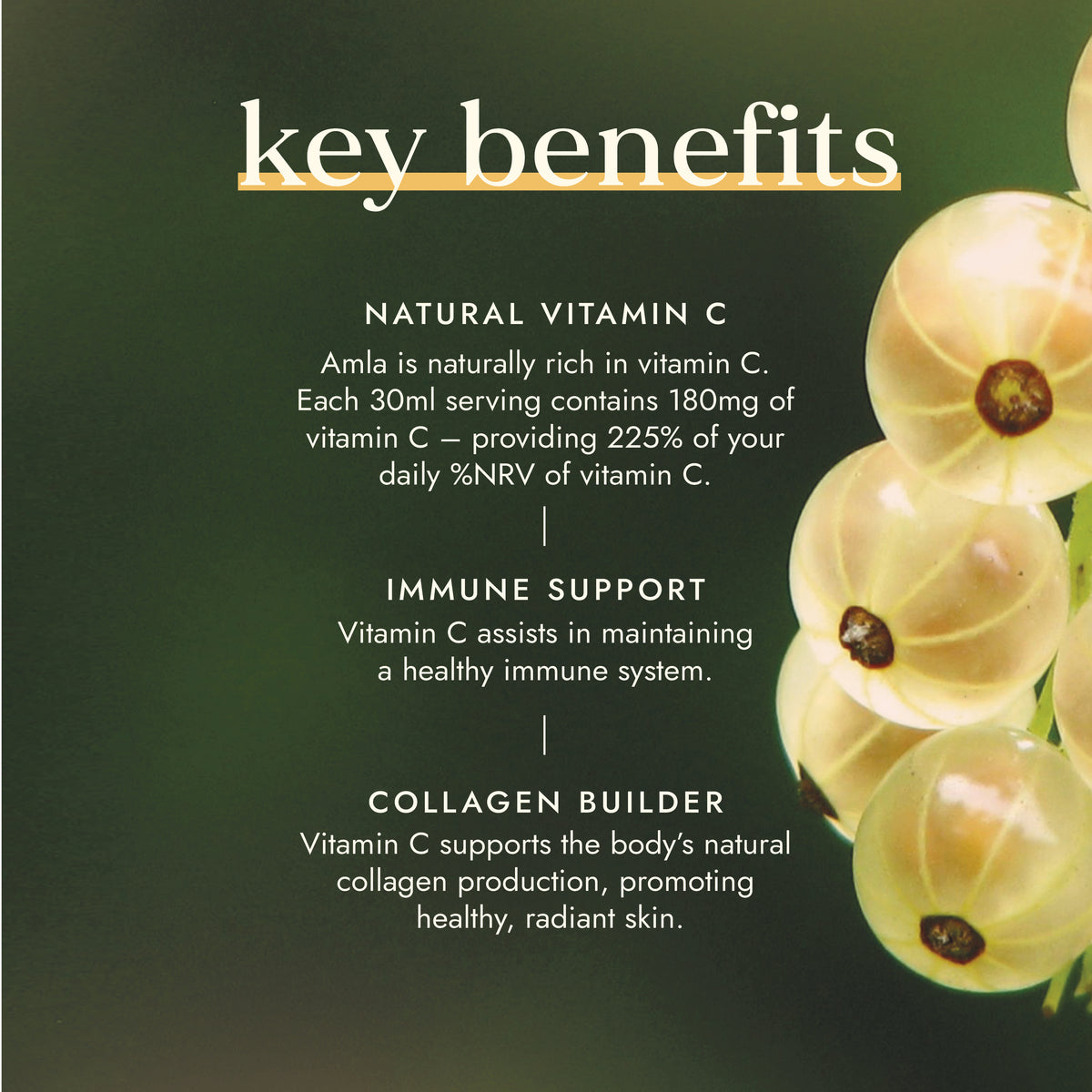 Amla Juice 500ml | Ayurveda | Fushi