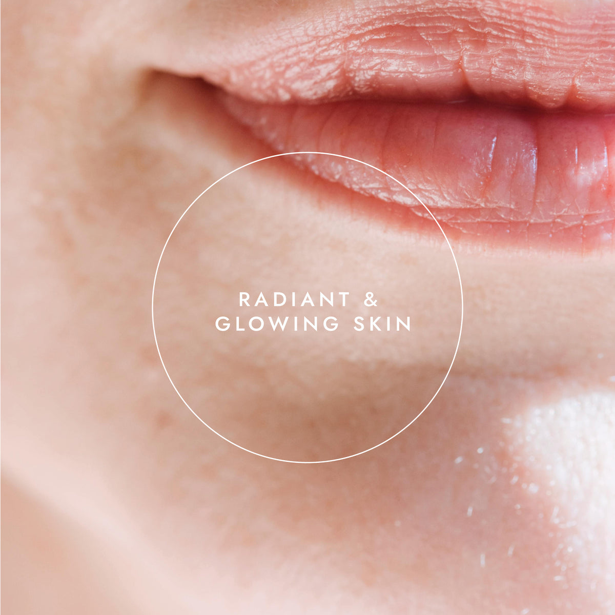 Organic Rosehip Oil 100ml | Ayurveda | Fushi