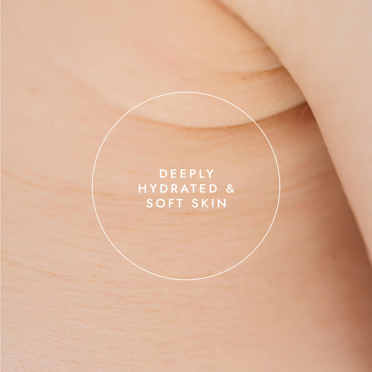 Organic Shea Butter 200g | Ayurveda | Fushi