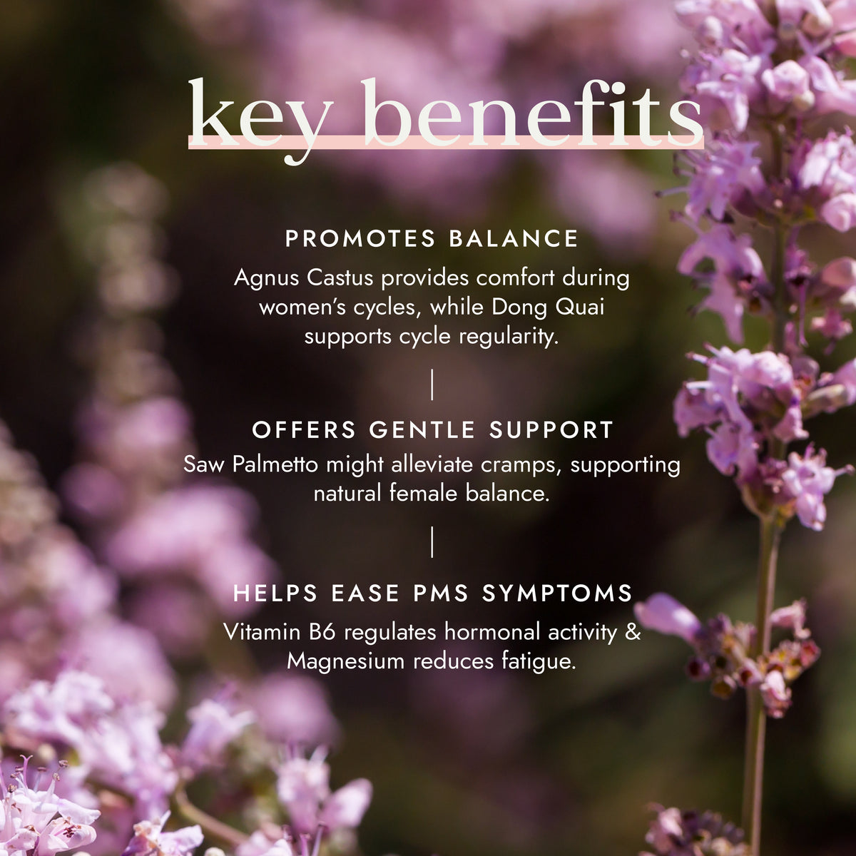 Monthly Harmony | Ayurveda | Fushi