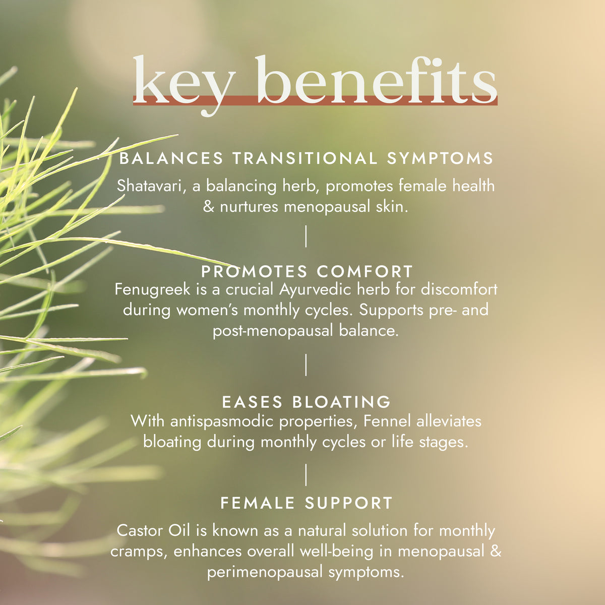 My Harmony Oil 50ml | Ayurveda | Fushi