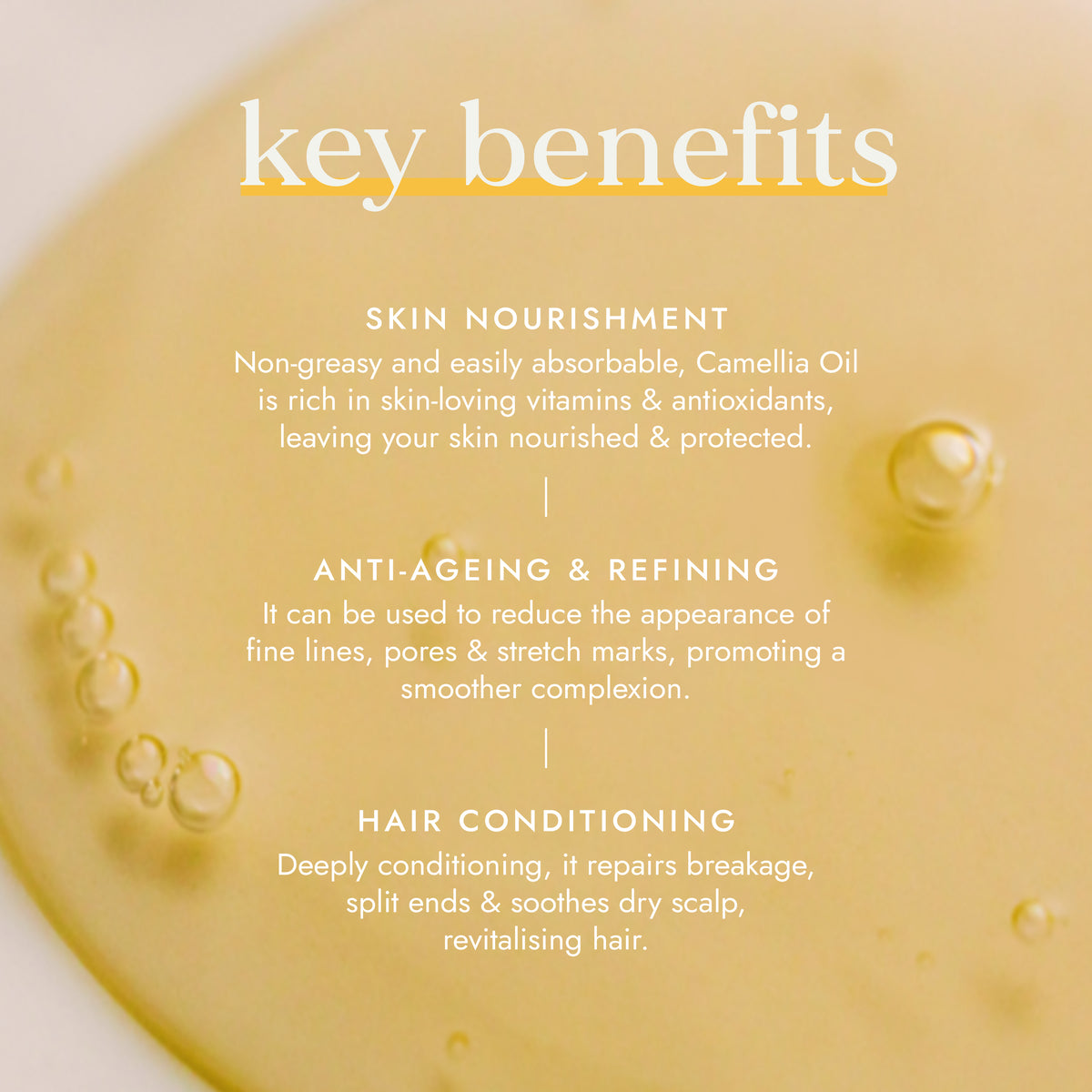 Organic Camellia Oil 100ml | Ayurveda | Fushi