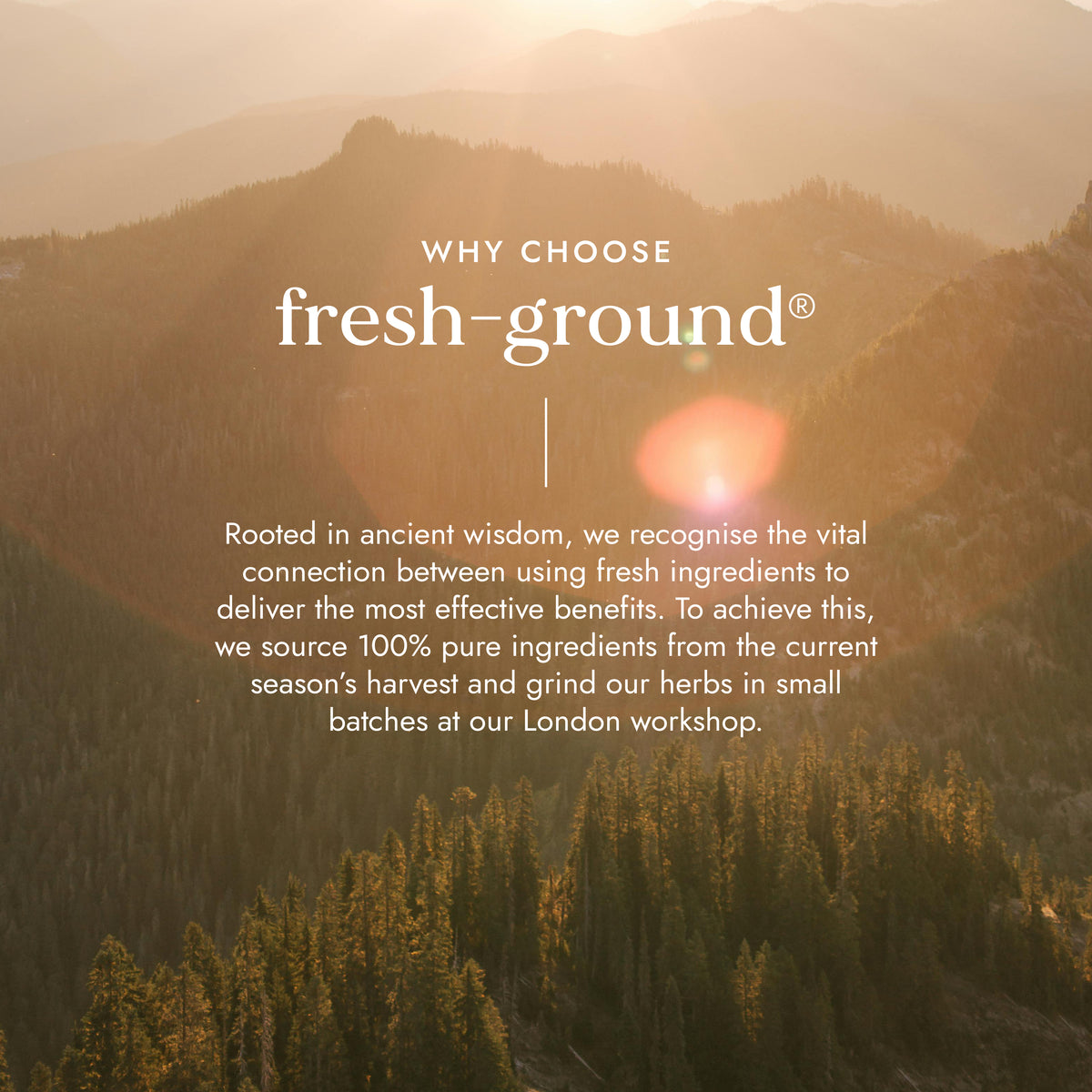 Adaptogen Energy Blend | Ayurveda | Fushi