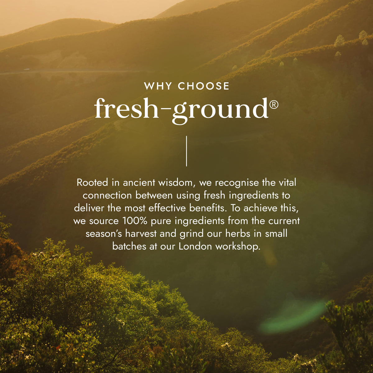 Vegan Collagen Builder | Ayurveda | Fushi