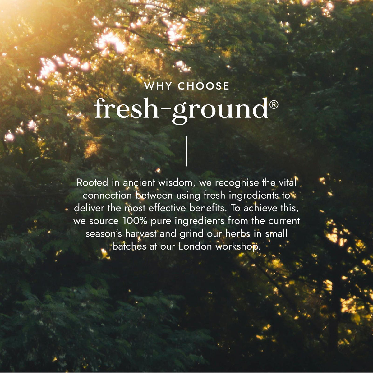 My Harmony Oil 50ml | Ayurveda | Fushi