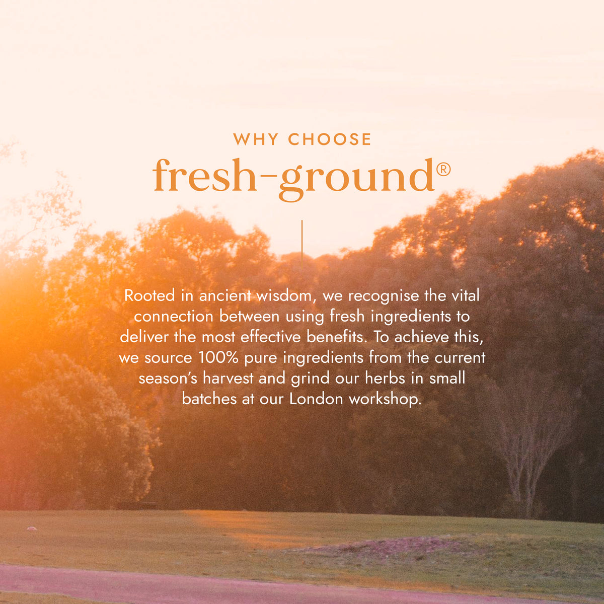 MenoHarmony | Ayurveda | Fushi