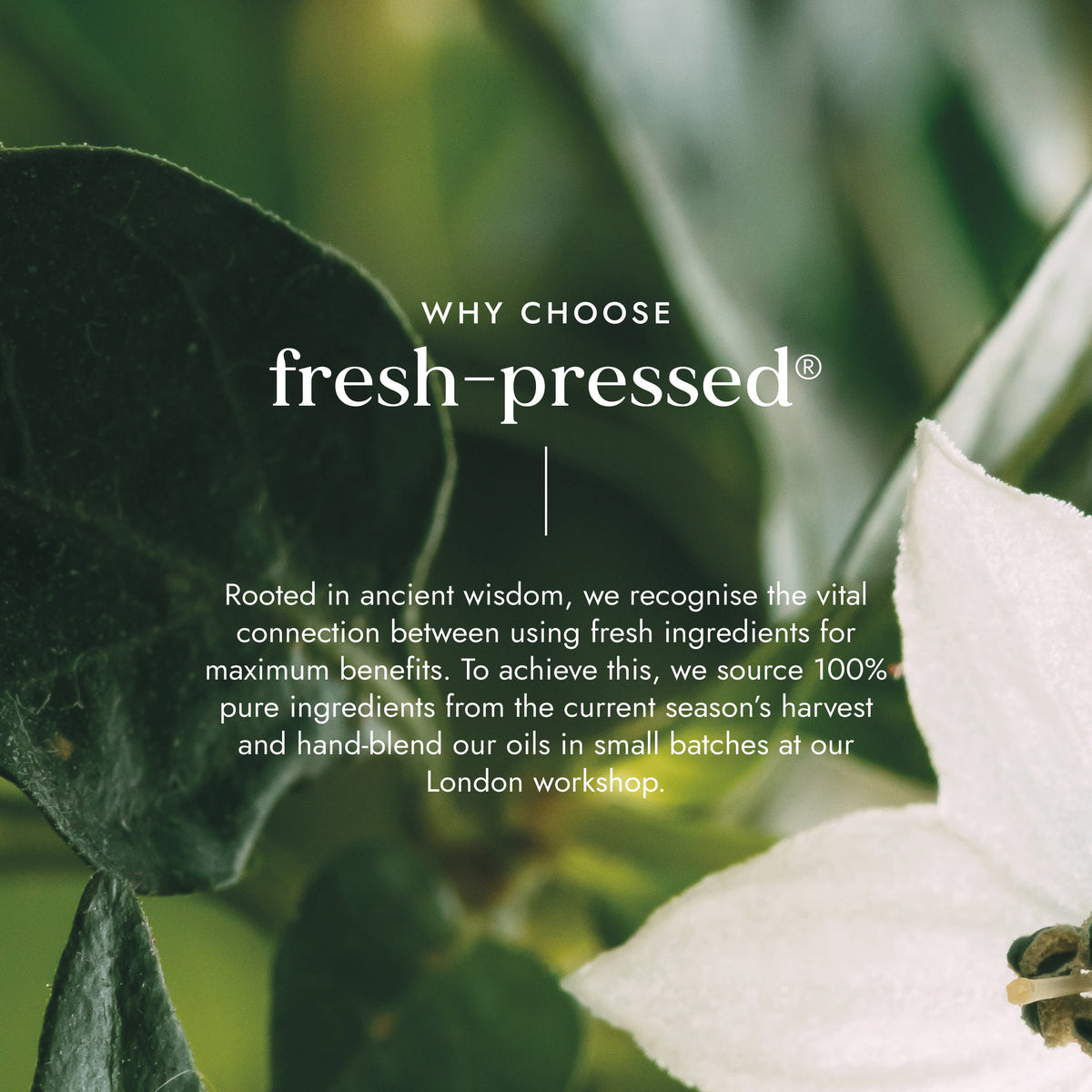 Organic Sesame Oil 250ml