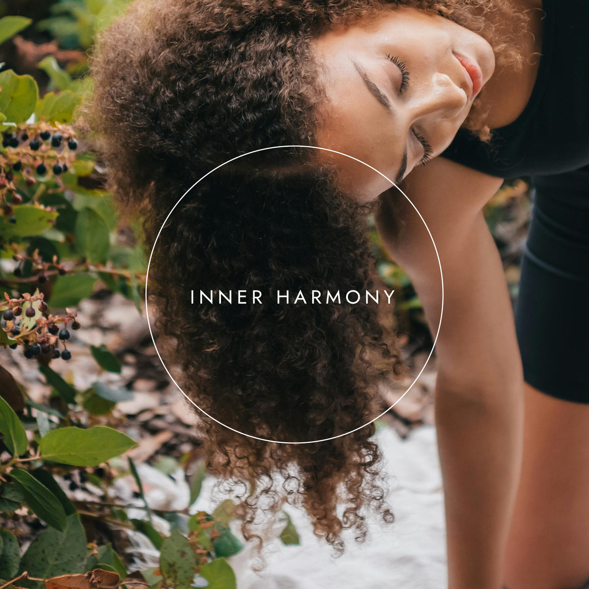 Organic Shatavari | Ayurveda | Fushi