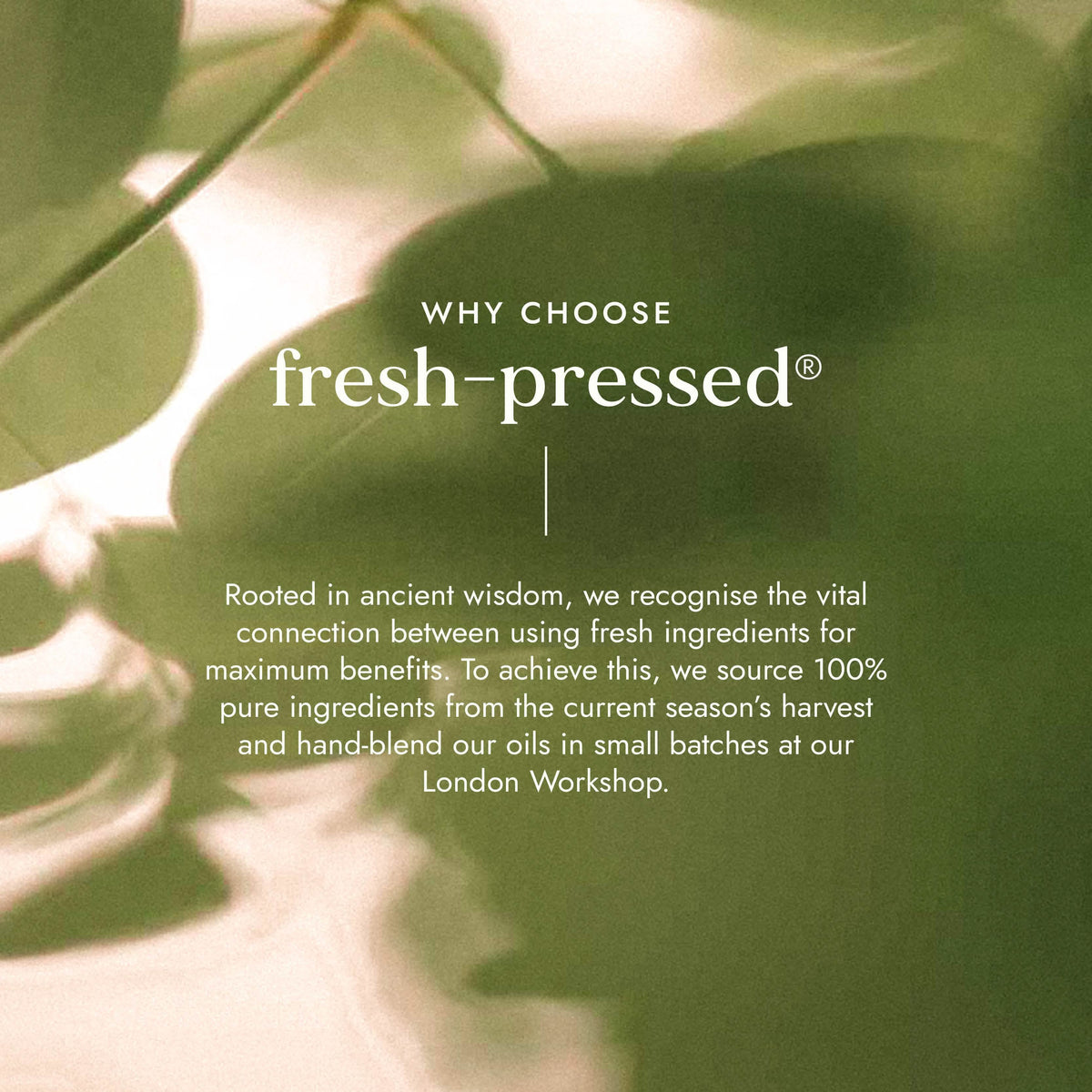 Organic Calendula Oil 100ml