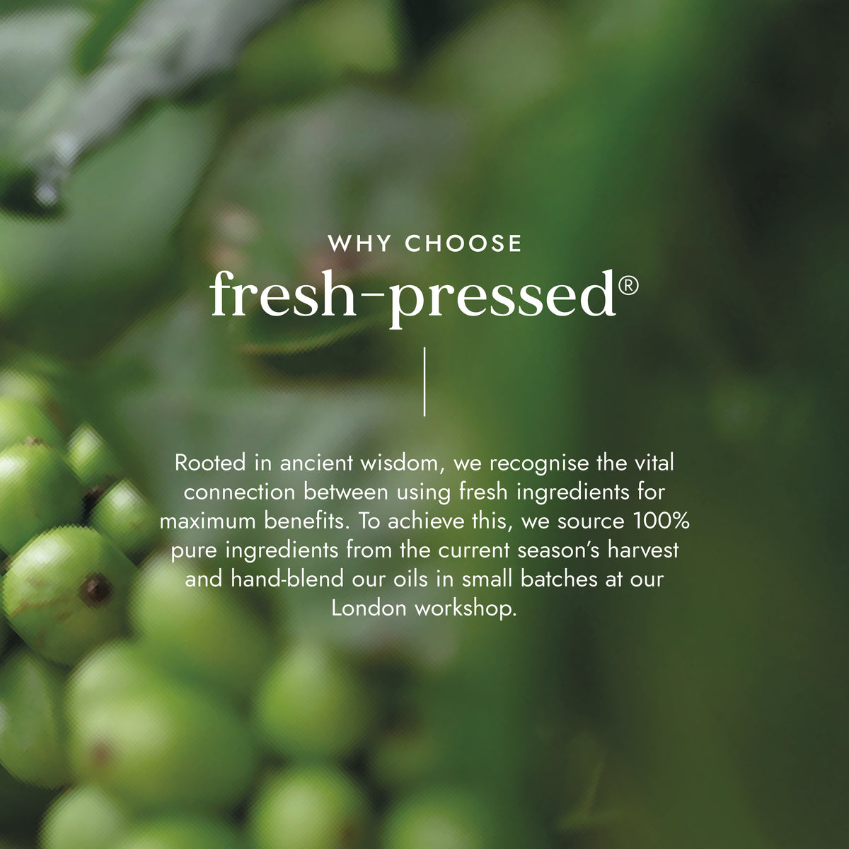 Really Good Cellulite Oil 100ml | Ayurveda | Fushi