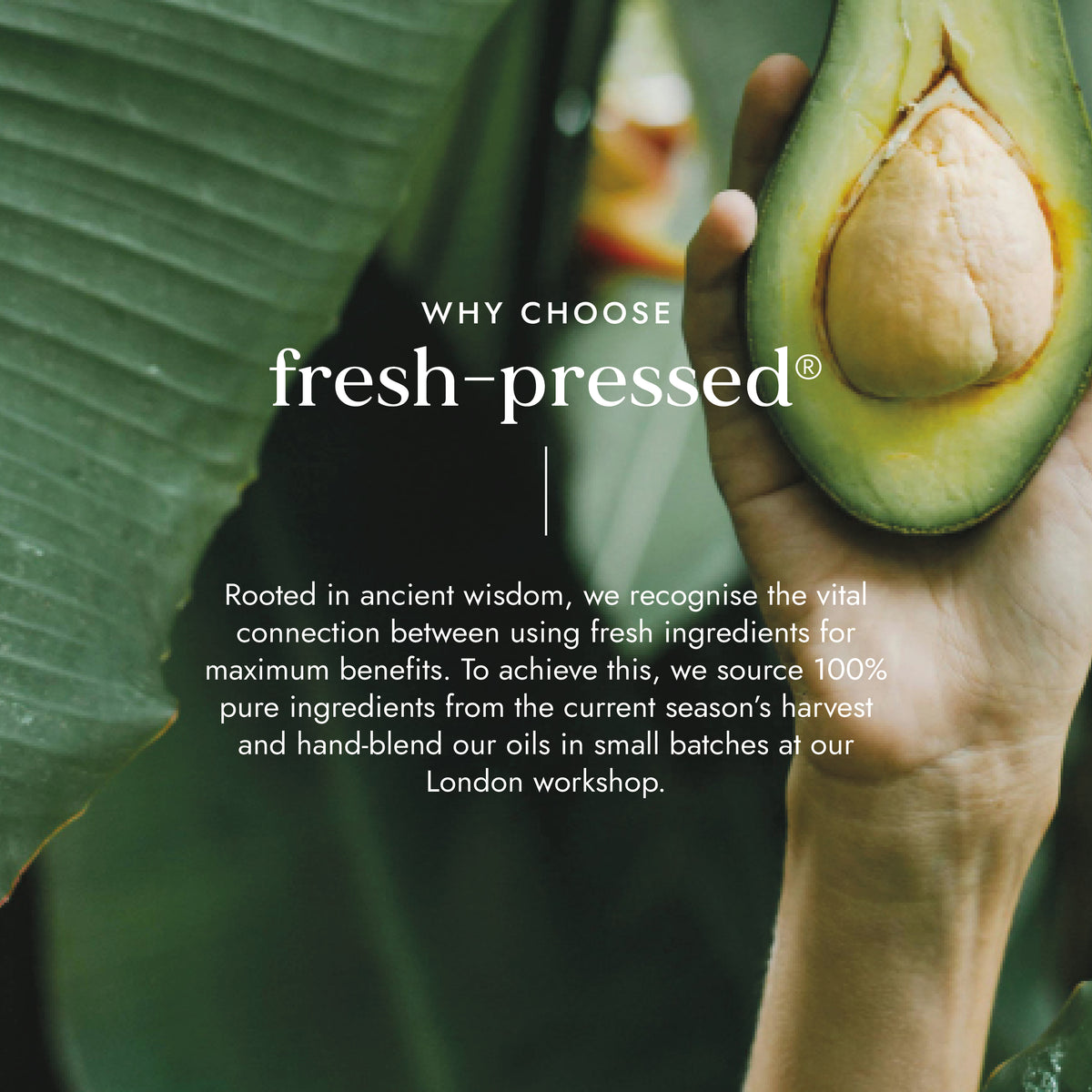 Really Good Hair Oil 100ml | Ayurveda | Fushi