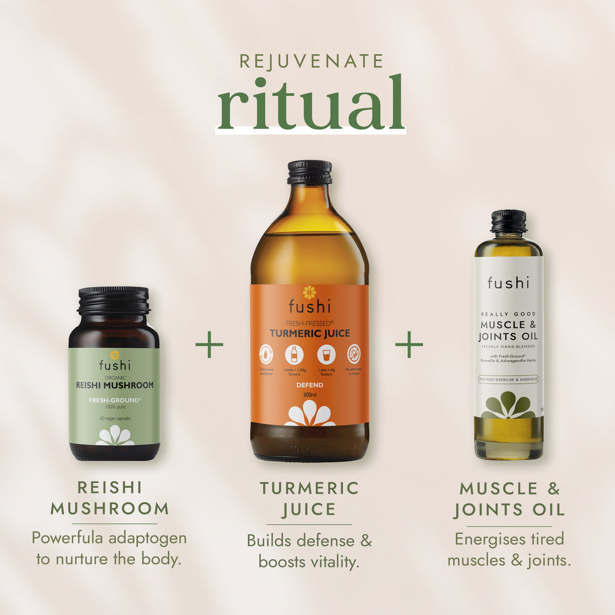 Organic Reishi Mushroom | Ayurveda | Fushi