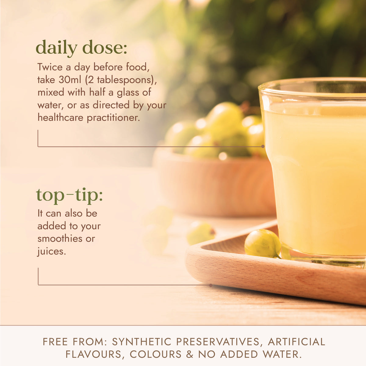 Amla Juice 500ml | Ayurveda | Fushi