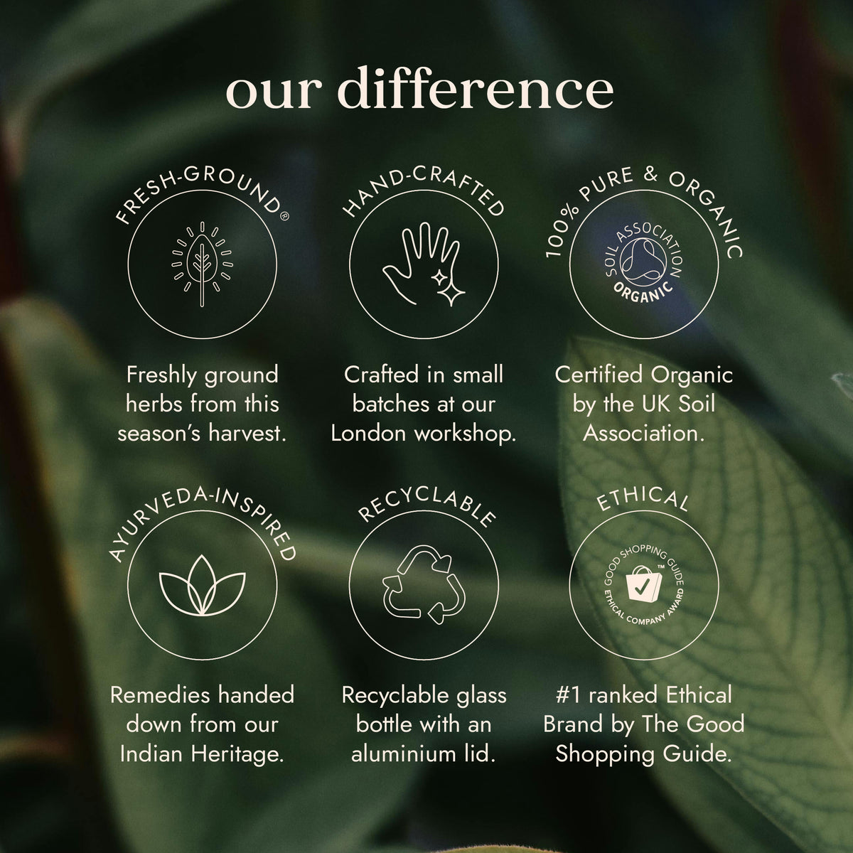 Organic Ashwagandha | Ayurveda | Fushi