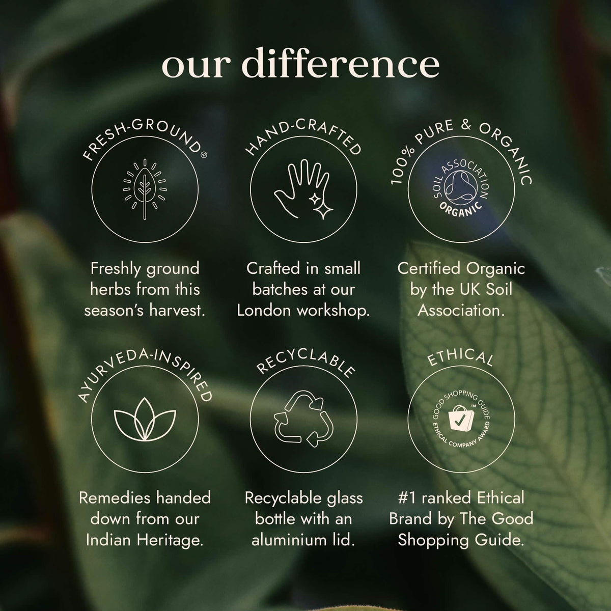 Organic Tulsi (Holy Basil)