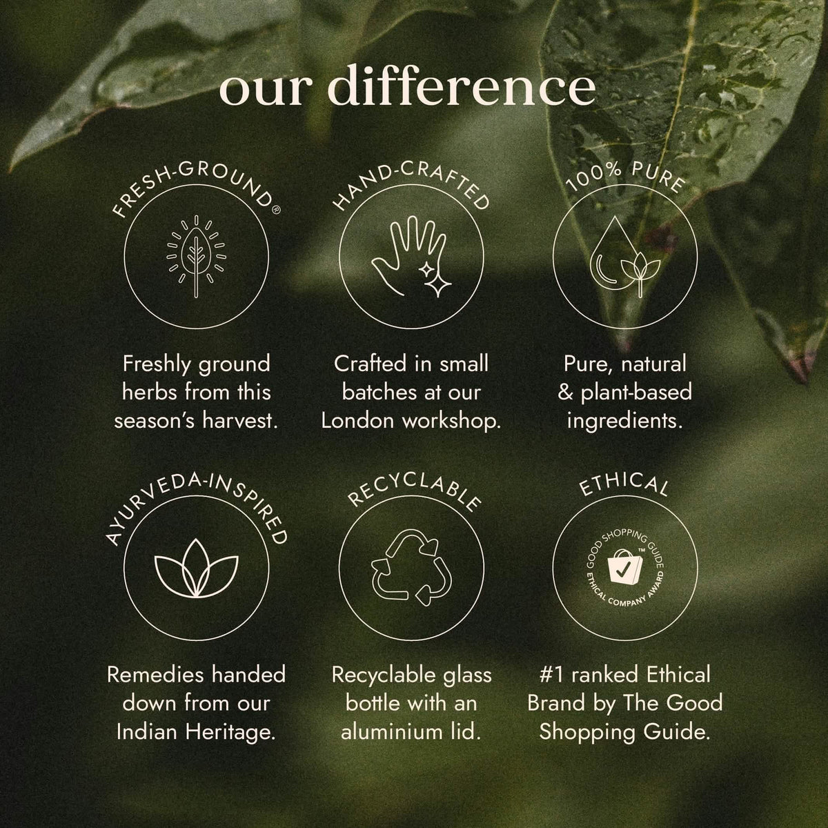 Équilibre biotique