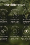 Équilibre biotique